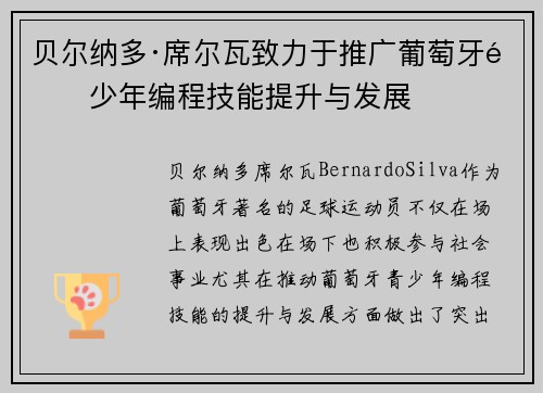 贝尔纳多·席尔瓦致力于推广葡萄牙青少年编程技能提升与发展